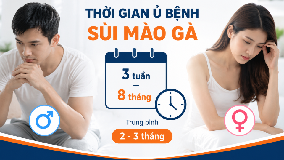 Quan Hệ Không An Toàn Bao Lâu Thì Bị Sùi Mào Gà? Thời Gian Ủ Bệnh Ở Nam Và Nữ